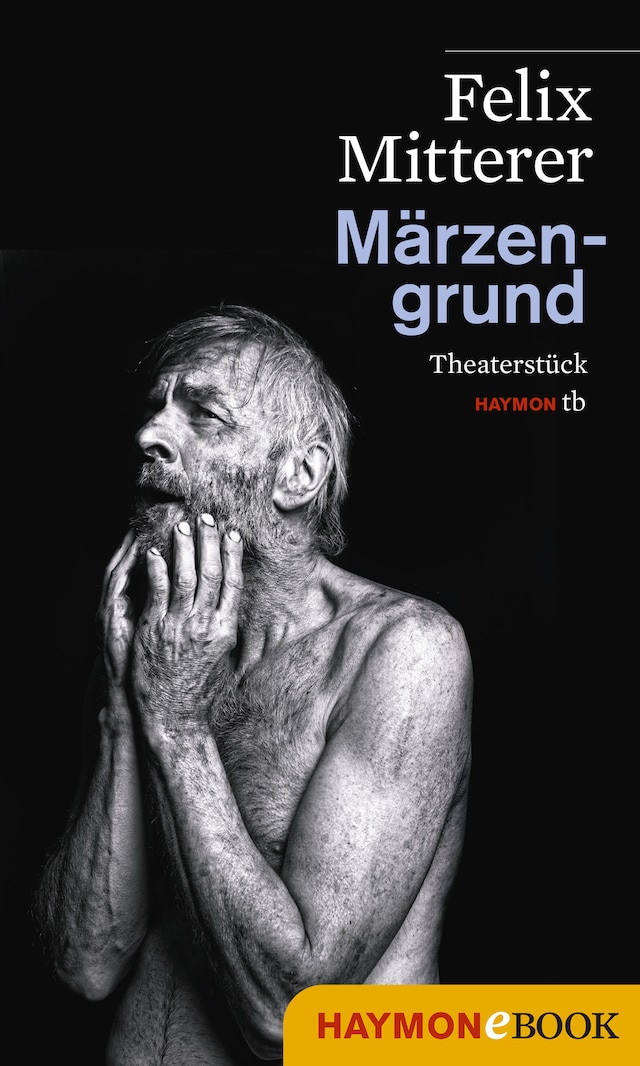 Book cover for Märzengrund