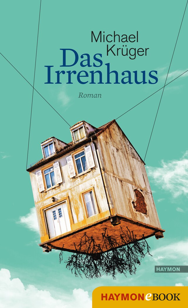 Buchcover für Das Irrenhaus