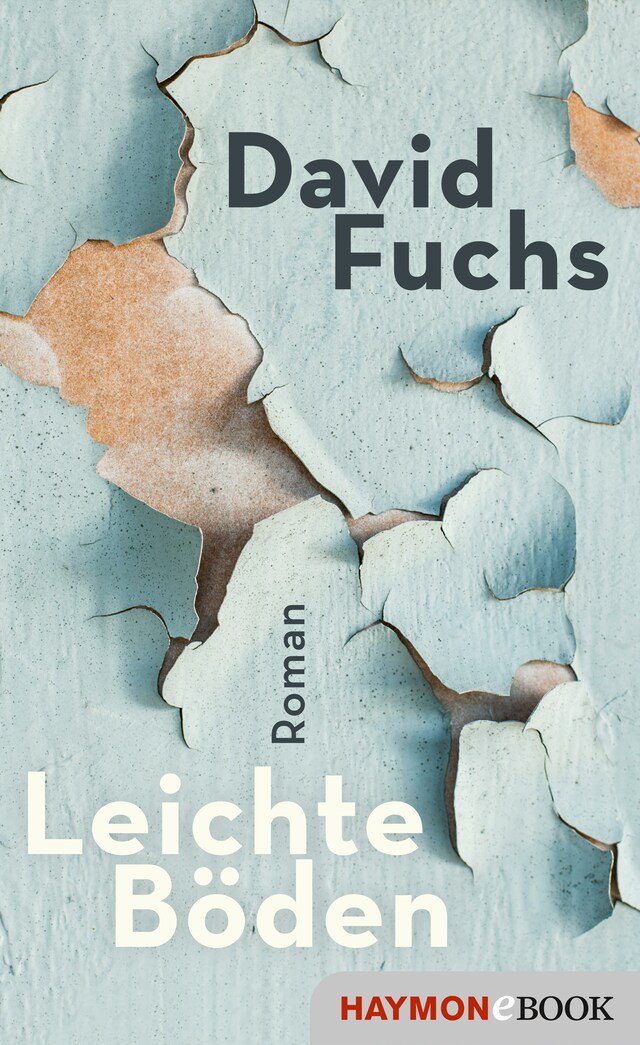 Copertina del libro per Leichte Böden