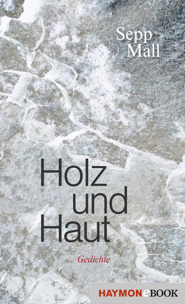 Book cover for Holz und Haut