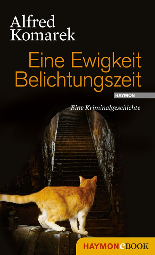 Copertina del libro per Eine Ewigkeit Belichtungszeit