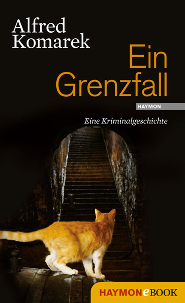 Couverture de livre pour Ein Grenzfall