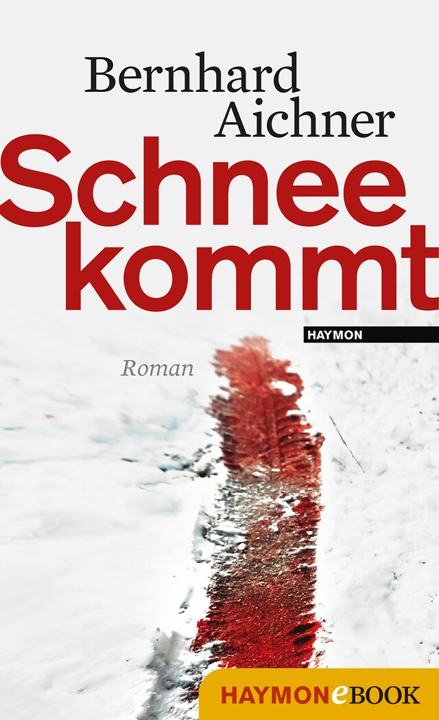 Book cover for Schnee kommt