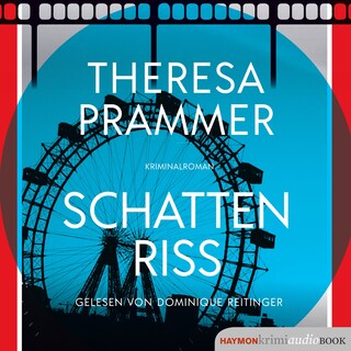 Schattenriss als Hörbuch