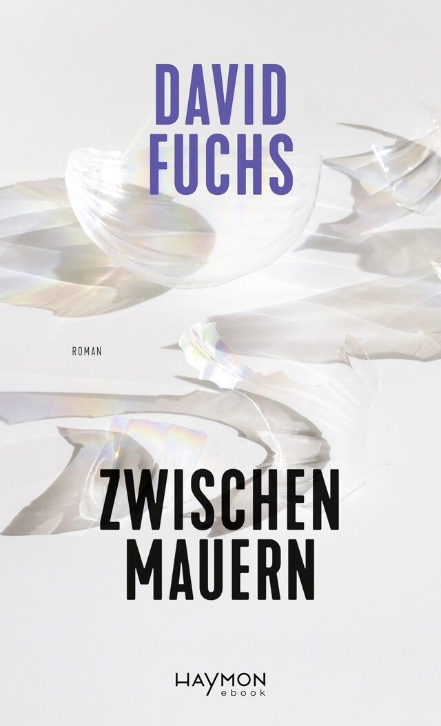 Copertina del libro per Zwischen Mauern