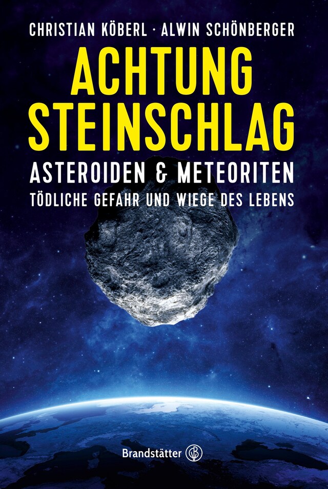 Book cover for Achtung Steinschlag!