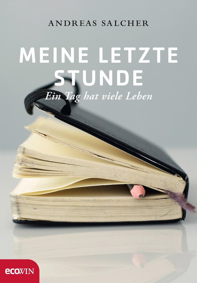 Book cover for Meine letzte Stunde