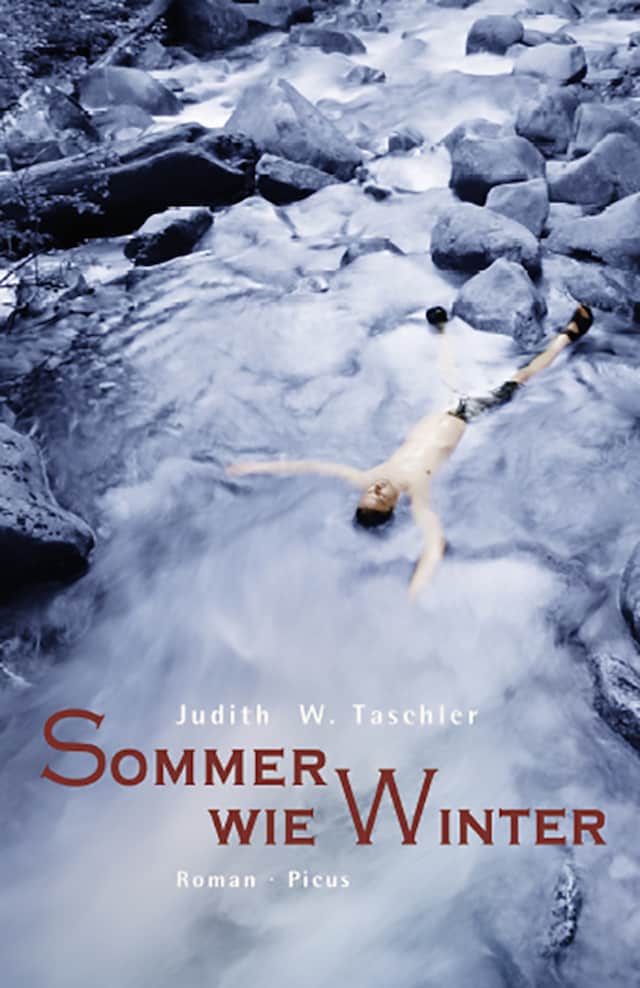 Book cover for Sommer wie Winter