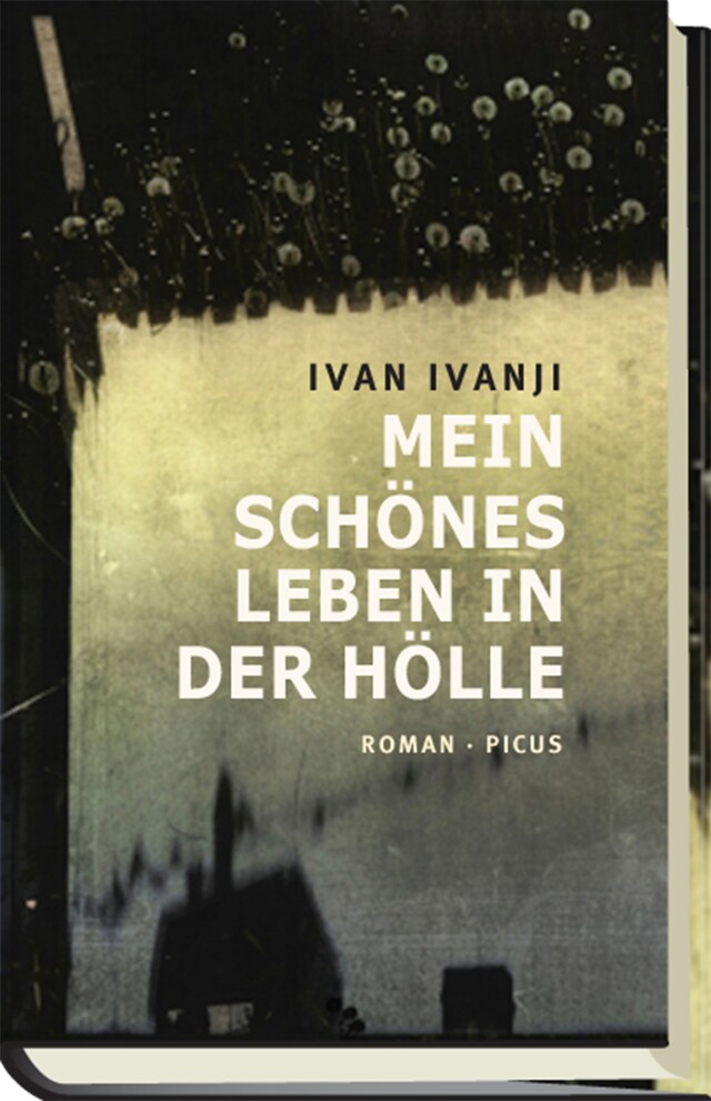 Book cover for Mein schönes Leben in der Hölle