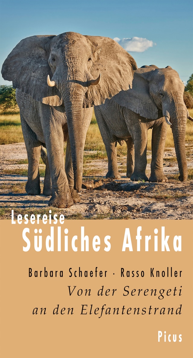 Book cover for Lesereise Südliches Afrika