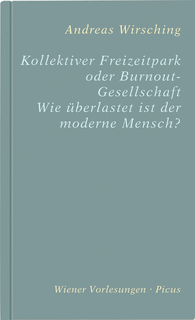 Buchcover für Kollektiver Freizeitpark oder Burnout-Gesellschaft