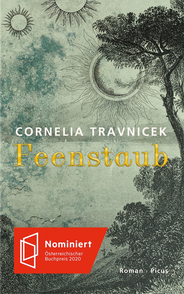 Book cover for Feenstaub