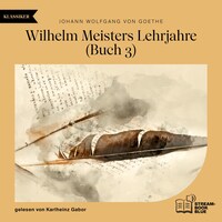 Wilhelm Meisters Lehrjahre (Buch 3)