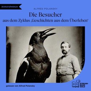Die Besucher als Hörbuch