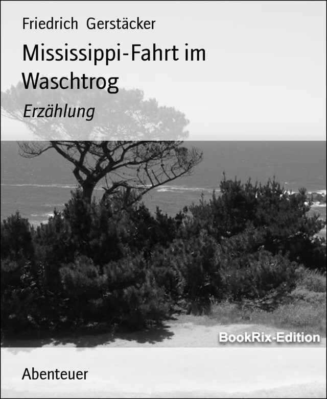 Boekomslag van Mississippi-Fahrt im Waschtrog