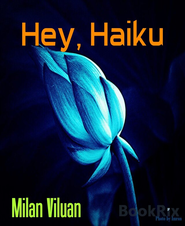 Buchcover für Hey, Haiku