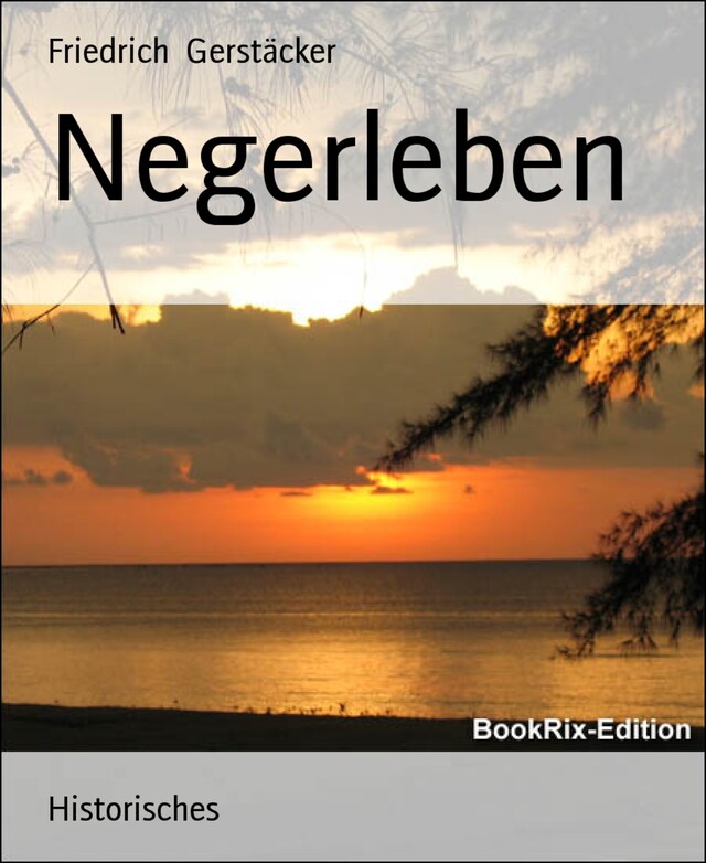 Negerleben