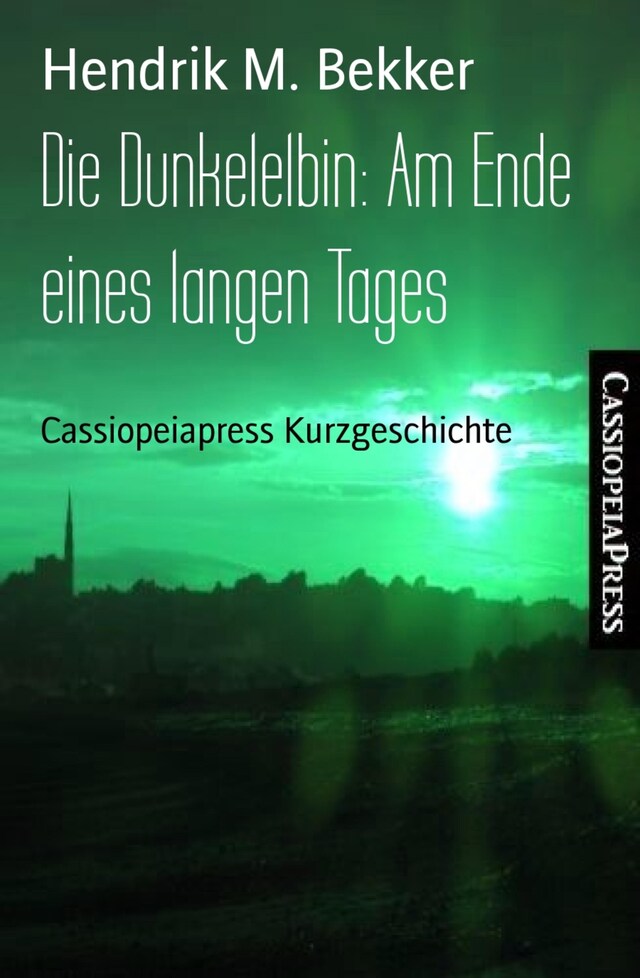 Portada de libro para Die Dunkelelbin: Am Ende eines langen Tages