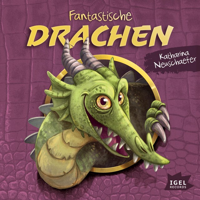 Book cover for Fantastische Drachen