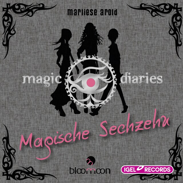 Book cover for Magic Diaries. Magische Sechzehn