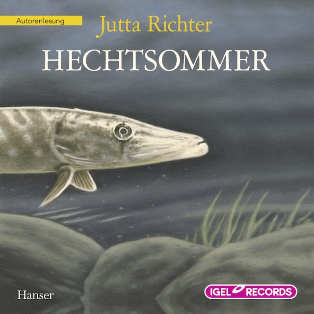 Book cover for Hechtsommer