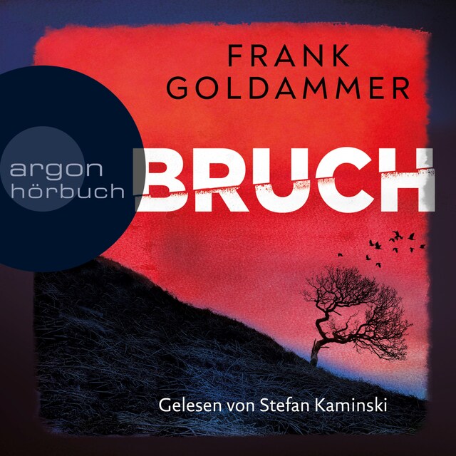 Book cover for Bruch - Ein dunkler Ort - Felix Bruch, Band 1 (Ungekürzte Lesung)