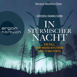In stürmischer Nacht als Hörbuch