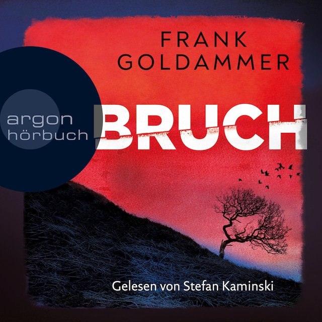 Book cover for Bruch - Ein dunkler Ort - Felix Bruch, Band 1 (Gekürzt)