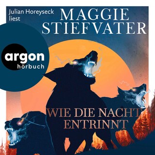 Wie die Nacht entrinnt als Hörbuch