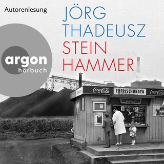 Steinhammer als Hörbuch