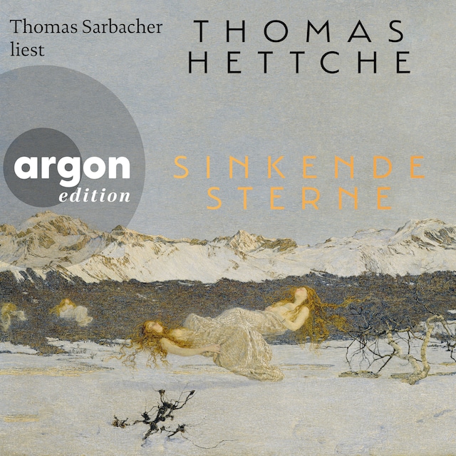 Book cover for Sinkende Sterne (Ungekürzte Lesung)
