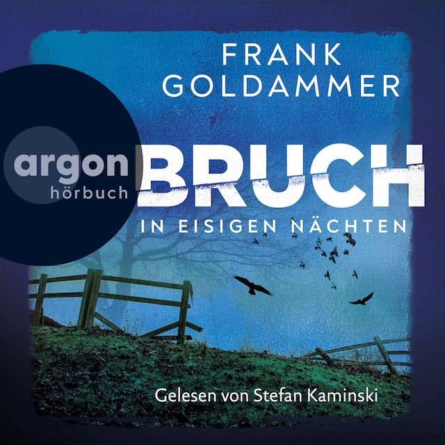 Buchcover für Bruch - In eisigen Nächten - Felix Bruch, Band 2 (Ungekürzte Lesung)