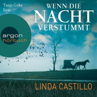 Wenn die Nacht verstummt - Kate Burkholder ermittelt, Band 3 (Gekürzte Lesung) als Hörbuch