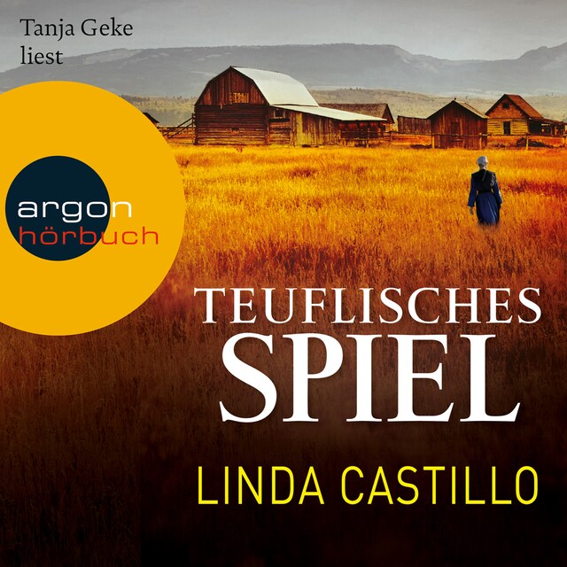 Book cover for Teuflisches Spiel - Kate Burkholder ermittelt, Band 5 (Gekürzt)