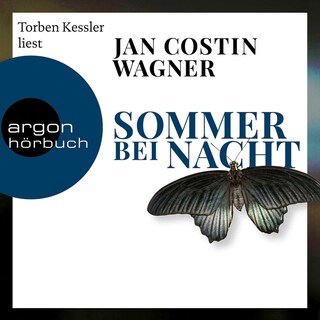 Sommer bei Nacht als Hörbuch