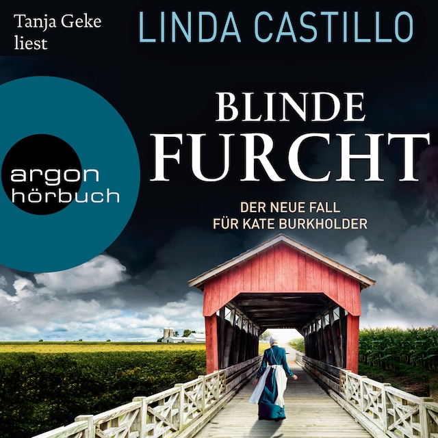 Bogomslag for Blinde Furcht - Kate Burkholder ermittelt, Band 13 (Gekürzte Lesung)