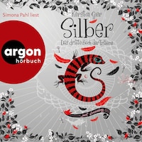 Silber - Das dritte Buch der Träume (Ungekürzte Lesung)
