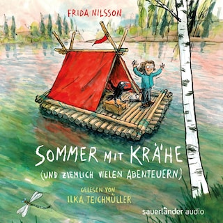 Sommer mit Krähe als Hörbuch