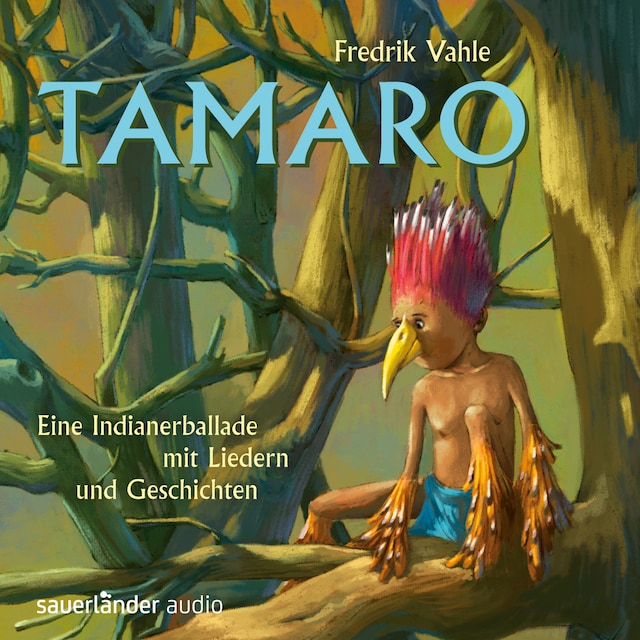 Book cover for Tamaro - Eine Indianerballade mit Liedern und Geschichten
