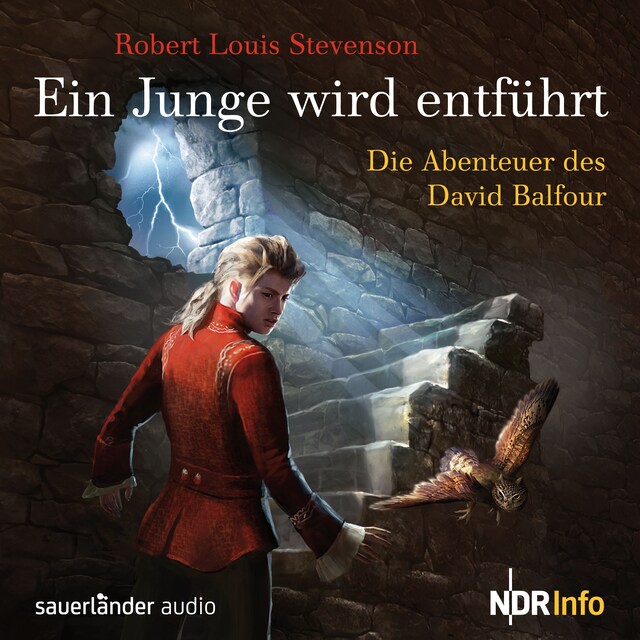 Book cover for Ein Junge wird entführt - Die Abenteuer des David Balfour