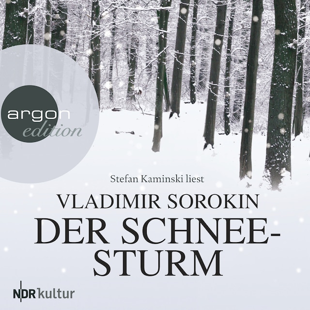 Book cover for Der Schneesturm (Ungekürzt)