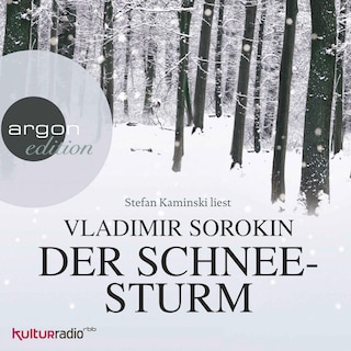 Der Schneesturm als Hörbuch
