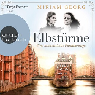 Elbstürme als Hörbuch