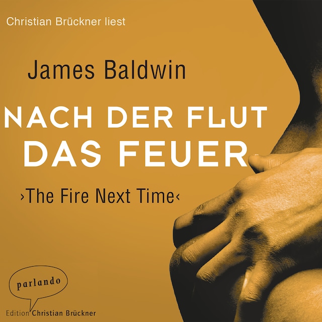 Book cover for Nach der Flut das Feuer (Ungekürzte Lesung)
