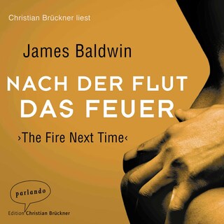 Nach der Flut das Feuer als Hörbuch