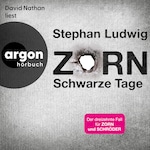 Schwarze Tage - Zorn, Band 13 (Ungekürzte Lesung)