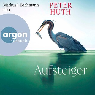 Aufsteiger als Hörbuch