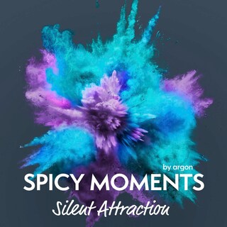 Silent Attraction als Hörbuch