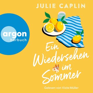 Ein Wiedersehen im Sommer als Hörbuch