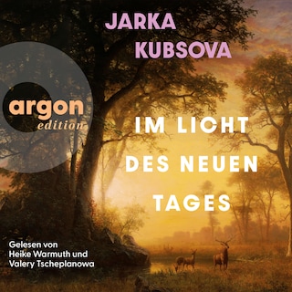 Im Licht des neuen Tages (Ungekürzte Lesung) als Hörbuch